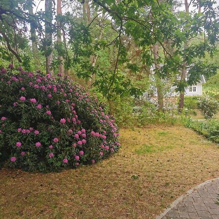 Fahrradpension Am Weg Nach Kopenhagen Fürstenberg-Havel 외부 사진